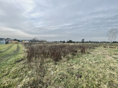 Prąd woda kanalizacja  Droga utwardzona  Prost - Orońsko  -
Mazowieckie Zdjęcie nr 2