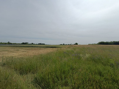 Sielskie widoki  Spokojna Okolica  Słoneczna - Tąpkowice  -
Śląskie Zdjęcie nr 10