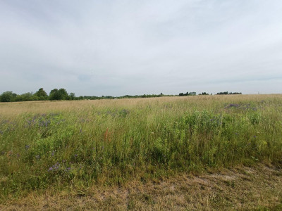 Sielskie widoki  Spokojna Okolica  Słoneczna - Tąpkowice  -
Śląskie Zdjęcie nr 12