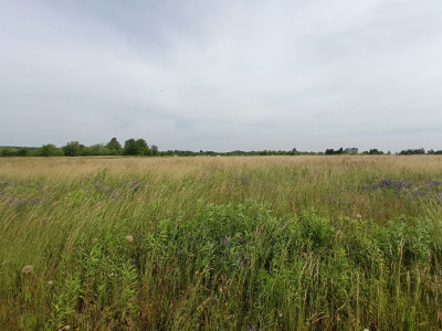 Sielskie widoki  Spokojna Okolica  Słoneczna - Tąpkowice  -
Śląskie Zdjęcie nr 13