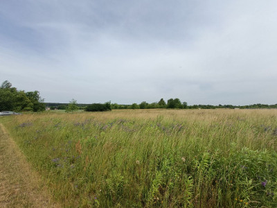 Sielskie widoki  Spokojna Okolica  Słoneczna - Tąpkowice  -
Śląskie Zdjęcie nr 14