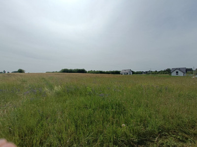 Sielskie widoki  Spokojna Okolica  Słoneczna - Tąpkowice  -
Śląskie Zdjęcie nr 9