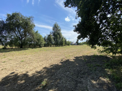 10minut od ZatoraPłaski terenCicha okolicaMPZP - Zator  -
Małopolskie Zdjęcie nr 8