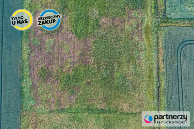 Południowa  Brak sąsiadów  Mpzp  Prostokątna - Suchy Dąb  -
Pomorskie Zdjęcie nr 3