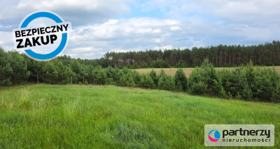 Prąd na działce  Woda tuż przed  Ogród od płd - Nowa Kiszewa  -
Pomorskie Zdjęcie nr 3