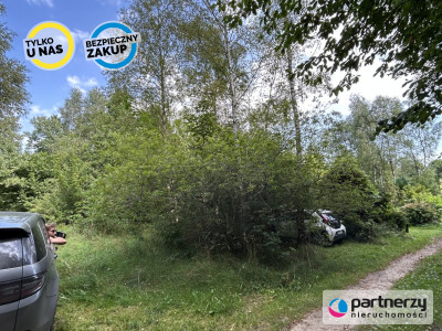 Działka rekreacyjna - powiat kartuski  -
Pomorskie Zdjęcie nr 3