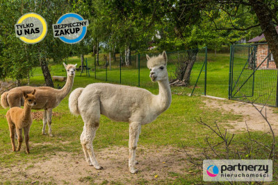 Gospodarstwo agroturystyczne na Kaszubach - Dziemiany  -
Pomorskie Zdjęcie nr 12