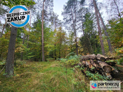 Działka pod dom lub usługi w leśnym otoczeniu - Chwaszczyno  -
Pomorskie Zdjęcie nr 6