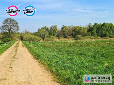 Dzałki w Mierzynie - Mierzyno  - Pomorskie