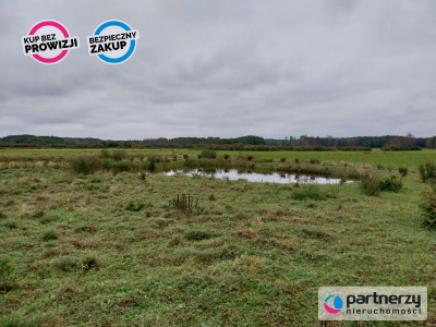 Działka ze stawami otoczona lasem - Stara Huta  -
Kujawsko-Pomorskie Zdjęcie nr 3