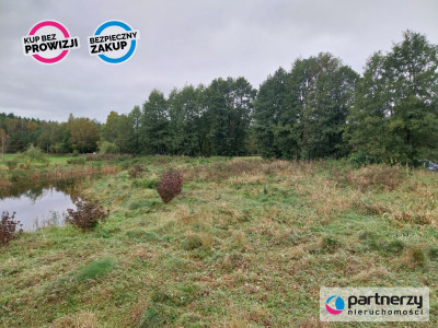 Działka ze stawami otoczona lasem - Stara Huta  -
Kujawsko-Pomorskie Zdjęcie nr 6