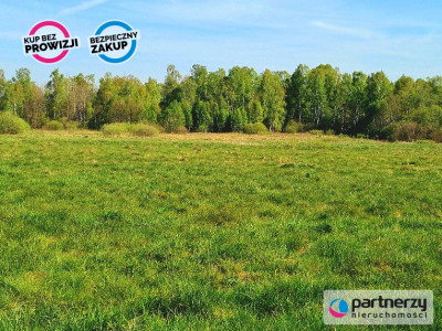 2 ha w  Mierzynie - Mierzyno  -
Pomorskie Zdjęcie nr 4