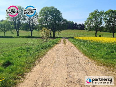 Dzałki w Mierzynie - Mierzyno  - Pomorskie