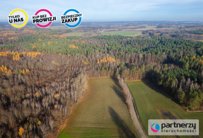 Działka Warcz powiat gdański 11 070 m - Warcz  -
Pomorskie Zdjęcie nr 3