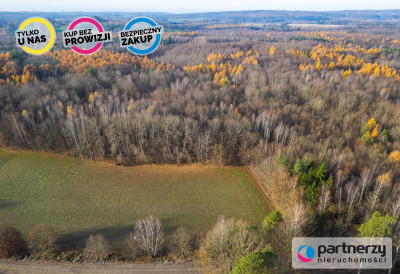 Działka Warcz powiat gdański 11 070 m - Warcz  -
Pomorskie Zdjęcie nr 5