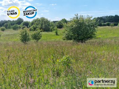 Działka nad jeziorem Salińskim - Salinko  -
Pomorskie Zdjęcie nr 6