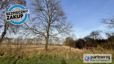 Działka pod twój wymarzony dom - Stobiec  -
Pomorskie Zdjęcie nr 3