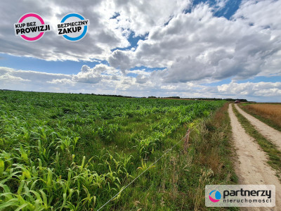 Działki  Bud Małkowo  z wz - Małkowo  -
Pomorskie Zdjęcie nr 4