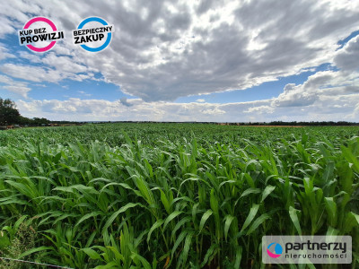 Działki  Bud Małkowo  z wz - Małkowo  -
Pomorskie Zdjęcie nr 5