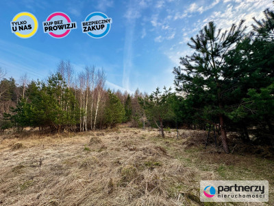 Piękna działka pod lasem 2257 m2 z wydaną WZKą - Tuchom  -
Pomorskie Zdjęcie nr 10