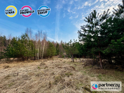 Piękna działka pod lasem 2257 m2 z wydaną WZKą - Tuchom  -
Pomorskie Zdjęcie nr 12
