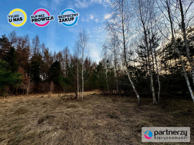 Piękna działka pod lasem 2257 m2 z wydaną WZKą - Tuchom  -
Pomorskie Zdjęcie nr 7