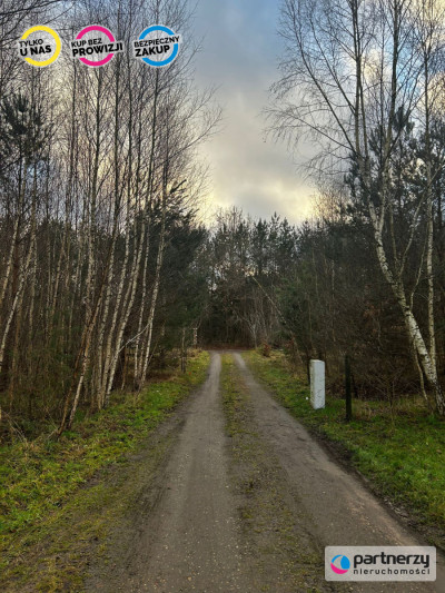 Działka blisko lasu niedaleko szkoła - Czerniewo  -
Pomorskie Zdjęcie nr 5