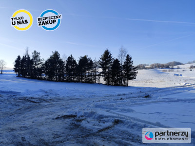 Działka z linią brzegową jeziora Raduńskiego - Łączyńska Huta  -
Pomorskie Zdjęcie nr 4