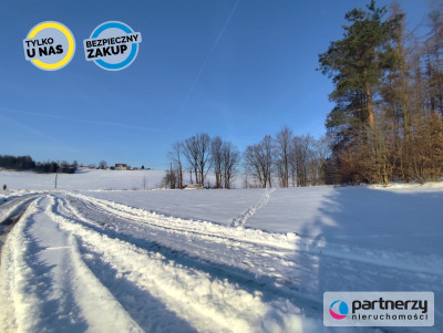 Działka z linią brzegową jeziora Raduńskiego - Łączyńska Huta  -
Pomorskie Zdjęcie nr 7