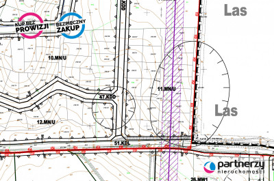 Bąkowo MPZPMedia Las - Bąkowo  -
Pomorskie Zdjęcie nr 6