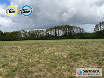 Działki w malowniczej lokalizacji Bory Tucholskie - Konarzyny  -
Pomorskie Zdjęcie nr 10