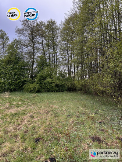 Działki w malowniczej lokalizacji Bory Tucholskie - Konarzyny  -
Pomorskie Zdjęcie nr 12