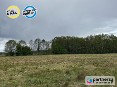 Działki w malowniczej lokalizacji Bory Tucholskie - Konarzyny  -
Pomorskie Zdjęcie nr 6