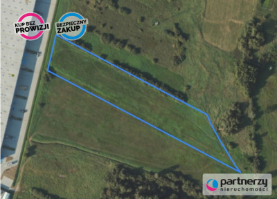 Działka 22HA w Gdyni koło hali PANATTONI - Cisowa  -
Pomorskie Zdjęcie nr 4
