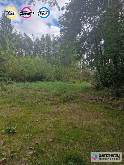 Działka na wzgórzu - Koleczkowo  -
Pomorskie Zdjęcie nr 3