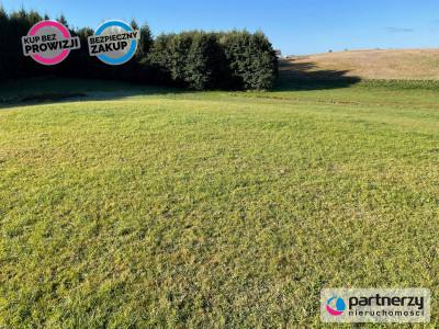 344 ha siedlisko jezioro - Bukowina  -
Pomorskie Zdjęcie nr 3