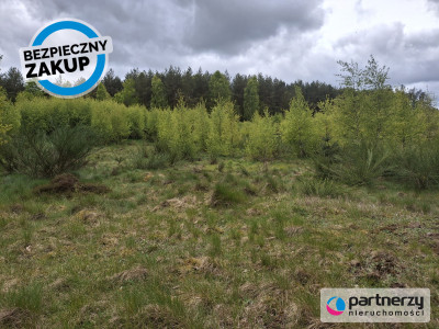 Pięknie położona urokliwa działka przy lesie - Strzebielino  -
Pomorskie Zdjęcie nr 11