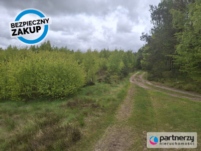 Pięknie położona urokliwa działka przy lesie - Strzebielino  -
Pomorskie Zdjęcie nr 3