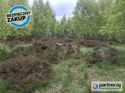 Pięknie położona urokliwa działka przy lesie - Strzebielino  -
Pomorskie Zdjęcie nr 5