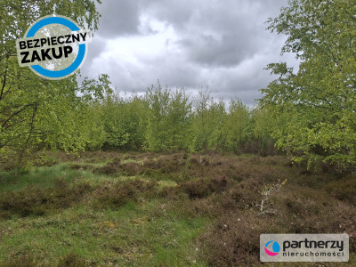 Pięknie położona urokliwa działka przy lesie - Strzebielino  -
Pomorskie Zdjęcie nr 6