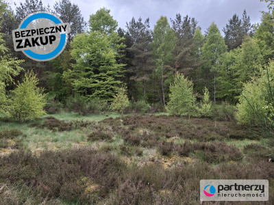 Pięknie położona urokliwa działka przy lesie - Strzebielino  -
Pomorskie Zdjęcie nr 7