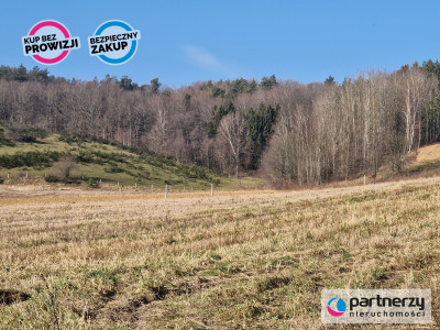 Działka przy lesie z pięknym widokiem - Strzebielino  -
Pomorskie Zdjęcie nr 3