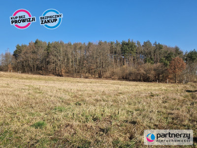 Działka przy lesie z pięknym widokiem - Strzebielino  -
Pomorskie Zdjęcie nr 6