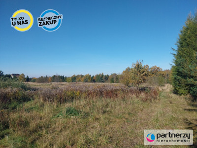 Działka 15ha pod zabudowę jednorodzinną - Pomlewo - Pomlewo  - Pomorskie