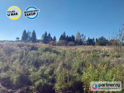 Działka 15ha pod zabudowę jednorodzinną - Pomlewo - Pomlewo  -
Pomorskie Zdjęcie nr 4