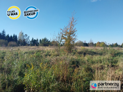 Działka 15ha pod zabudowę jednorodzinną - Pomlewo - Pomlewo  -
Pomorskie Zdjęcie nr 5