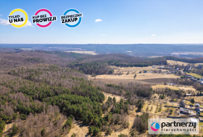 Działki z WZ 16 ha Świetlino k Łęczyc przy S6 - Świetlino  -
Pomorskie Zdjęcie nr 6