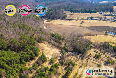 Działki z WZ 16 ha Świetlino k Łęczyc przy S6 - Świetlino  -
Pomorskie Zdjęcie nr 7