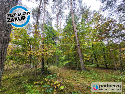 Działka pod dom lub usługi w leśnym otoczeniu - Chwaszczyno  -
Pomorskie Zdjęcie nr 2