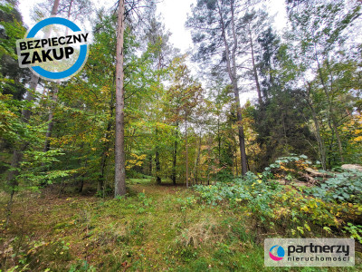 Działka pod dom lub usługi w leśnym otoczeniu - Chwaszczyno  -
Pomorskie Zdjęcie nr 3